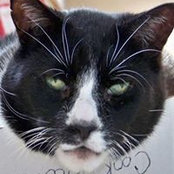 Sue Fallow's photo