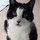 tricia_leigh55