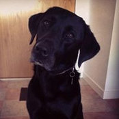 Dean Mitchell's photo