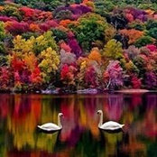Joyce Farrell's photo