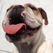 Ian Swindells's photo