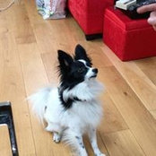 Harold H's photo
