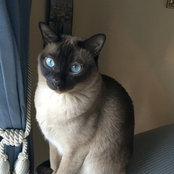 Lynn Rauch's photo