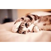 Lea Oliveros's photo