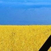 Aidar Yergalees foto