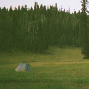 Andrew Ricardo's photo