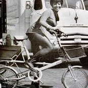 Lynn Purls billede