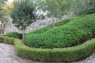 Photo of a contemporary landscaping in Austin.