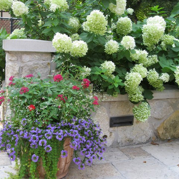 Container Ideas