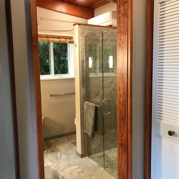 Ann Arbor Master Bath Addition: Water Hill