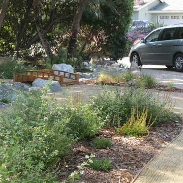 Fullerton Native/Low Water Front Yard
