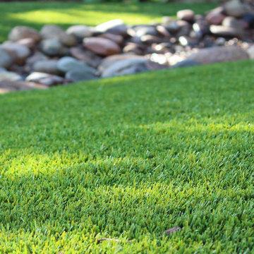 Panjia Turf