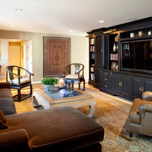 Living room theater