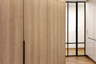 Foto de recibidores y pasillos minimalistas de tamaño medio con paredes blancas, suelo de madera en tonos medios y iluminación