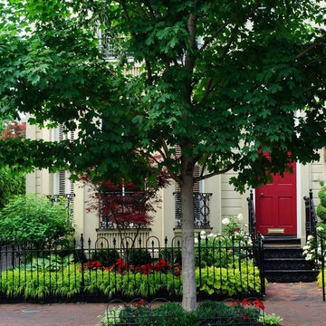 Compact Georgetown Compound