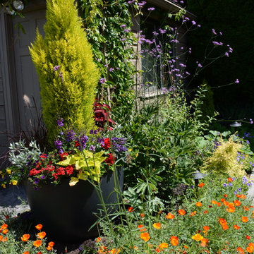 Raised Vegetable Bed / Ornamental Garden 2016