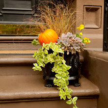 Fall decor
