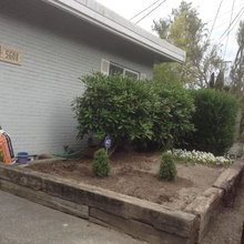 Current Garden