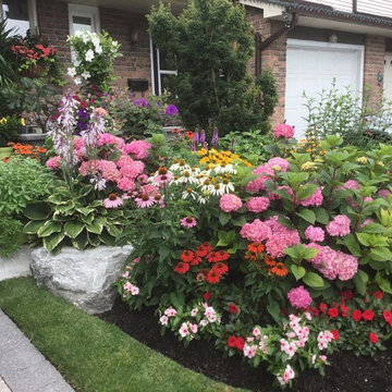 Garden With Bursting Colour