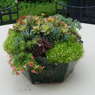 Halbschattiger Eklektischer Garten im Sommer mit Kübelpflanzen in Chicago