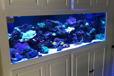 JKFISHWORLD-projects_4906