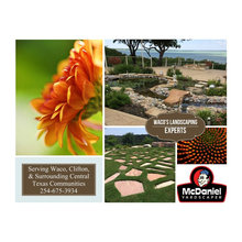 Tony's Landscape Ideas