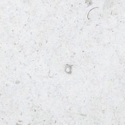 Branco Classico Limestone Tile & Slab - Kitchen Countertops