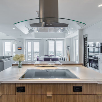 Amazing Penthouse Kitchen Remodel by Renowned Renovation