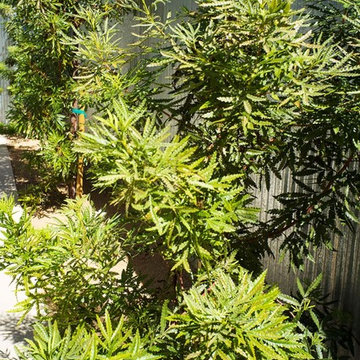 2018 Native Plant Garden Tour