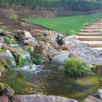 Ponds and Streams