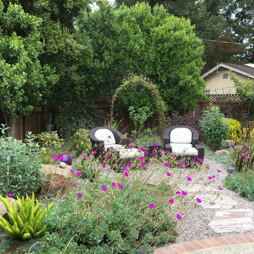 Saratoga - Lawn replacement & reduction