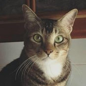 Nadia Nasser's photo