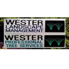Brent Wester Professional Tree Services
