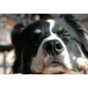Heather Cooke's photo