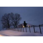 Sharon Joy Colston's photo