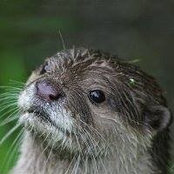Andy P's photo