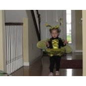 Pat Smith's photo