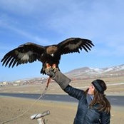 Liz Baker's photo