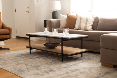 Living room - mid-century modern living room idea in Indianapolis