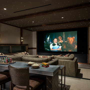 Contemporary Home Theater
