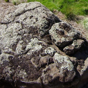 Sonoma Fieldstone (AKA Moss Rock)