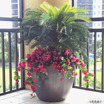 Lanai Accent Plantings - Cielo at The Colony