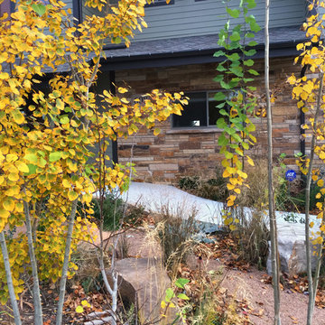 Residential Garden, Louisville, Est. 2012