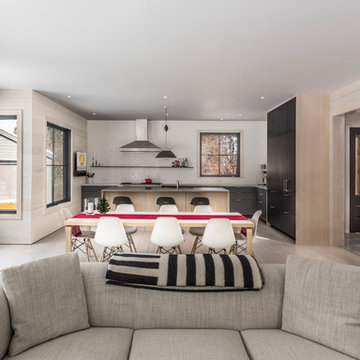 Aspens Mountain Modern