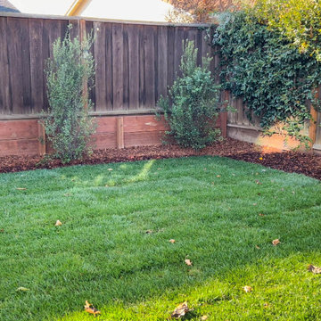 Backyard Remodel (Granite, Mulch, Outdoor Lighting, Grass, Turf, Shrubs)