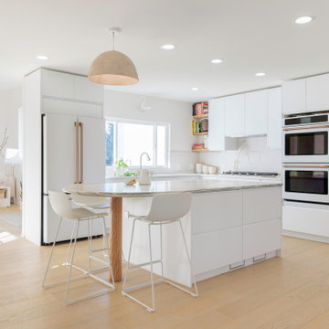 Modern Minimal Renovation + Addition