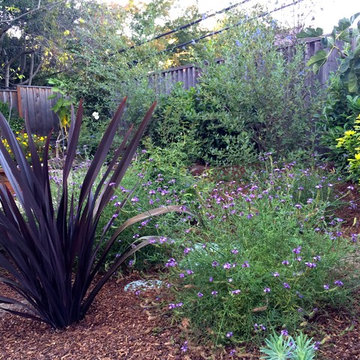 Menlo Park 1