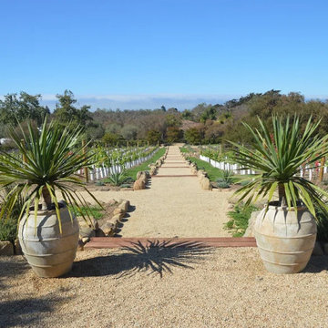 Montecito Orchard Estate