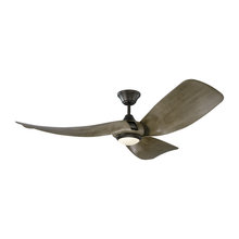 Ceiling Fans
