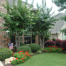 front garden